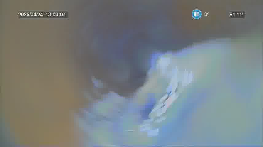 Frame